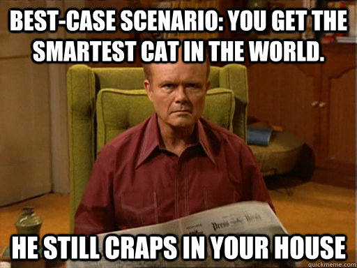 Best-case scenario: you get the smartest cat in the world. He still craps in your house - Best-case scenario: you get the smartest cat in the world. He still craps in your house  Dumbass