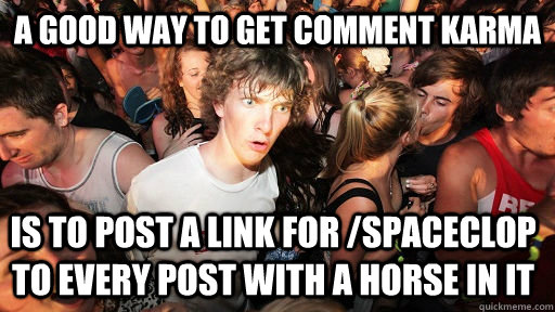 a good way to get comment karma is to post a link for /spaceclop to every post with a horse in it  Sudden Clarity Clarence