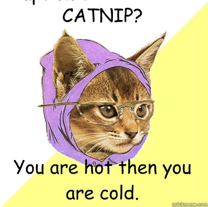 CATNIP? You are hot then you are cold. Caption 3 goes here  Hipster Kitty