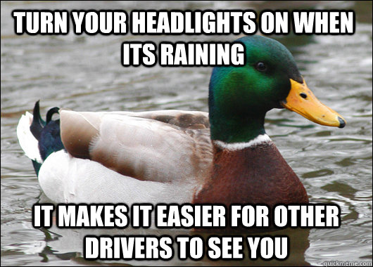 turn your headlights on when its raining it makes it easier for other drivers to see you  Actual Advice Mallard