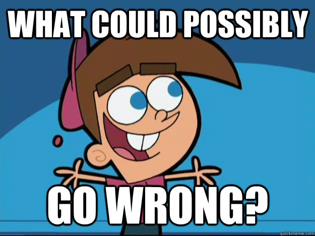 What could possibly go wrong? - What could possibly go wrong?  Timmy Turner