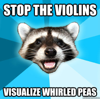 STOP THE VIOLINS VISUALIZE WHIRLED PEAS  Lame Pun Coon