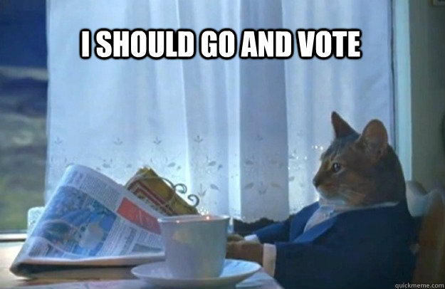 I SHOULD GO AND VOTE  Sophisticated Cat
