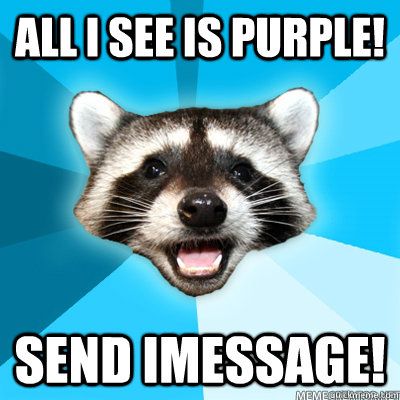 All I see is purple! Send iMessage!  Lame Pun Raccoon