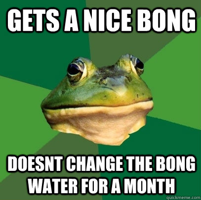 Gets a nice bong doesnt change the bong water for a month  Foul Bachelor Frog