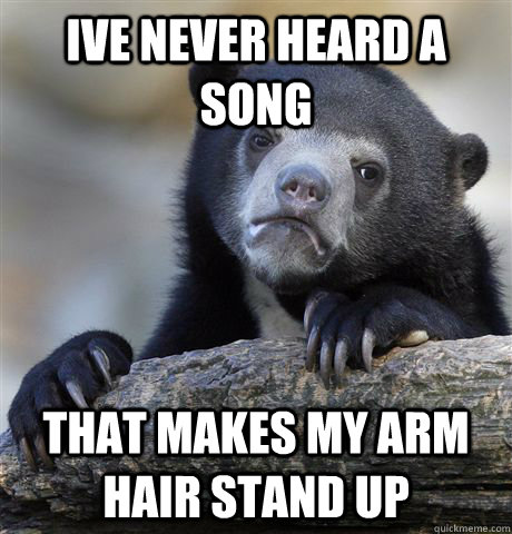 ive never heard a song that makes my arm hair stand up - ive never heard a song that makes my arm hair stand up  Confession Bear