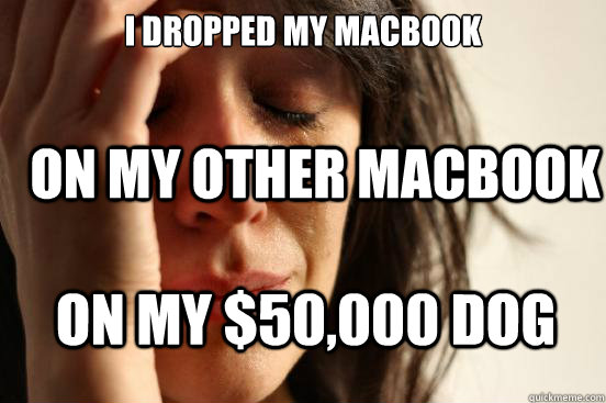 I dropped my Macbook On my other Macbook ON my $50,000 Dog  First World Problems