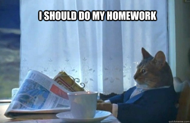 I should do my homework - I should do my homework  Sophisticated Cat