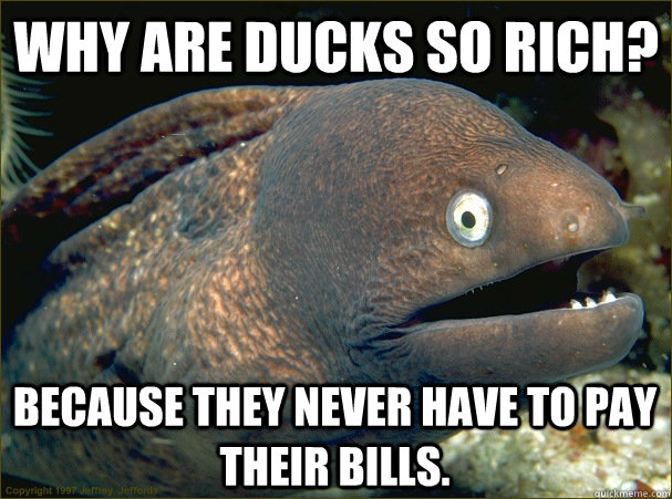 Why are ducks so rich? Because they never have to pay their bills. - Why are ducks so rich? Because they never have to pay their bills.  Bad Joke Eel