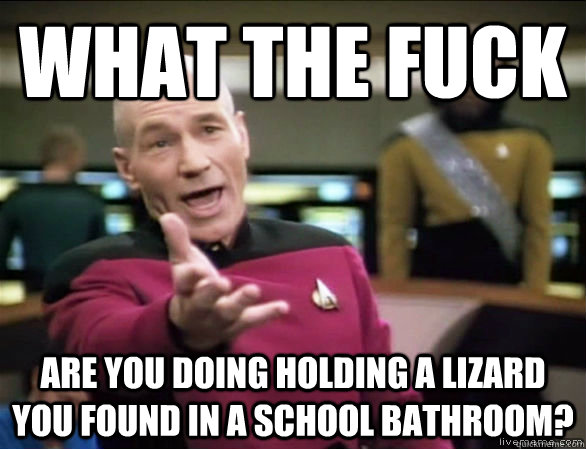 what the fuck are you doing holding a lizard you found in a school bathroom?  Annoyed Picard HD