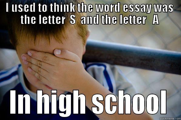 I USED TO THINK THE WORD ESSAY WAS THE LETTER  S  AND THE LETTER   A IN HIGH SCHOOL Confession kid
