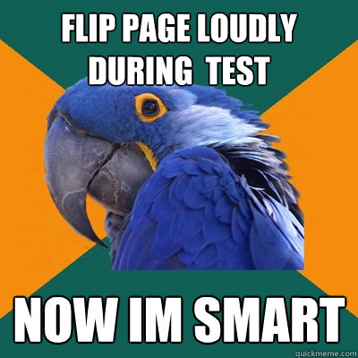flip page loudly during  test now im smart  Paranoid Parrot