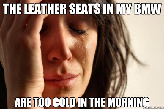 The Leather Seats in my BMW Are too cold in the morning  First World Problems
