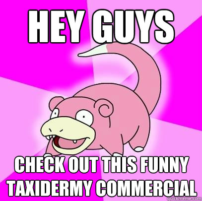 hey guys check out this funny taxidermy commercial  Slowpoke