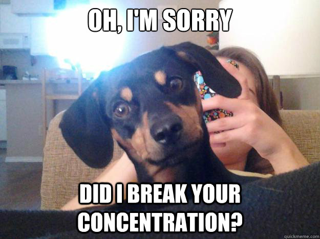 oh, i'm sorry did i break your concentration? - oh, i'm sorry did i break your concentration?  Misc
