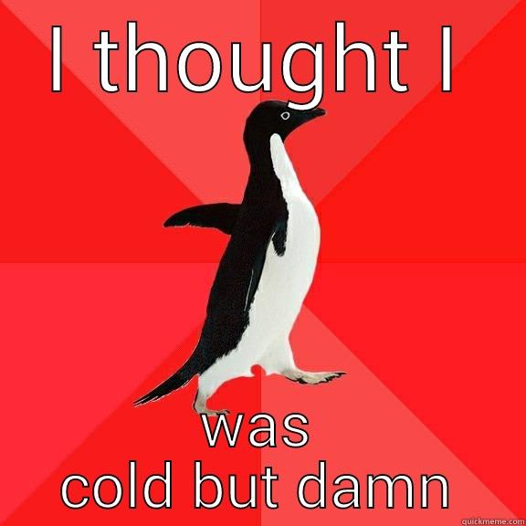 What he said - I THOUGHT I WAS COLD BUT DAMN Socially Awesome Penguin