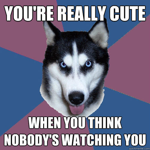 You're really cute when you think nobody's watching you - You're really cute when you think nobody's watching you  Creeper Canine