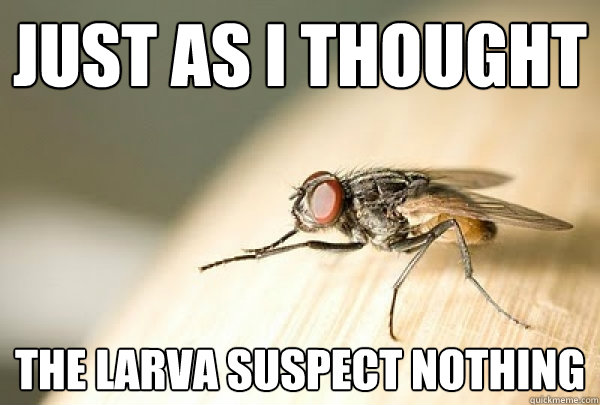 Just as I thought The larva suspect nothing  Evil Plotting Fly