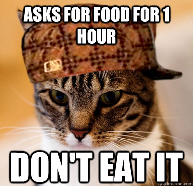 asks for food for 1 hour don't eat it  Scumbag Cat
