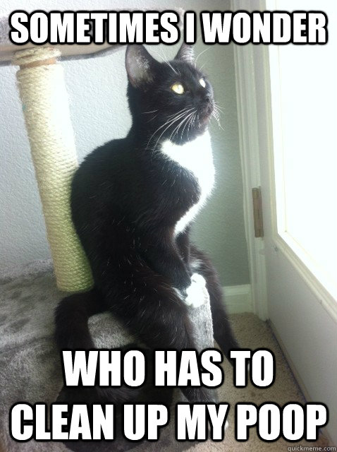 Sometimes I wonder who has to clean up my poop - Sometimes I wonder who has to clean up my poop  Misc