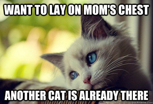 Want to lay on mom's chest another cat is already there  First World Problems Cat