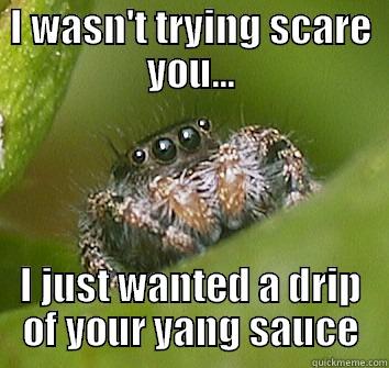 I WASN'T TRYING SCARE YOU... I JUST WANTED A DRIP OF YOUR YANG SAUCE Misunderstood Spider