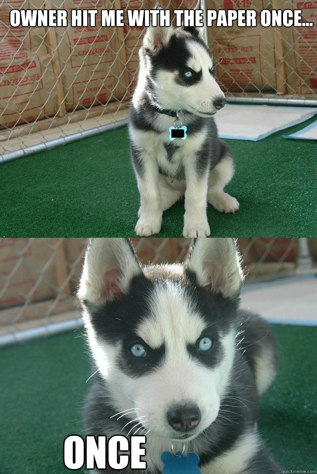 Owner hit me with the paper once... ONCE  Insanity puppy
