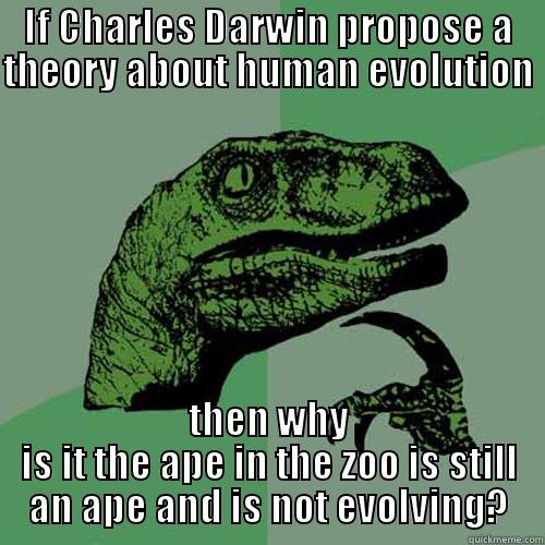 IF CHARLES DARWIN PROPOSE A THEORY ABOUT HUMAN EVOLUTION THEN WHY IS IT THE APE IN THE ZOO IS STILL AN APE AND IS NOT EVOLVING? Philosoraptor