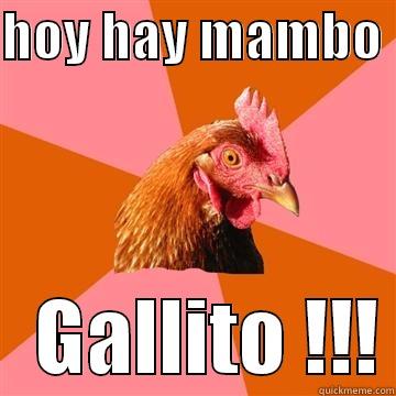 HOY HAY MAMBO     GALLITO !!! Anti-Joke Chicken