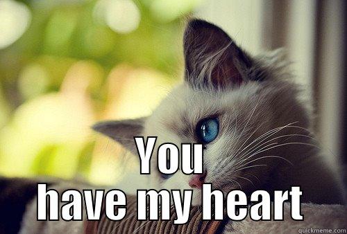  YOU HAVE MY HEART First World Problems Cat