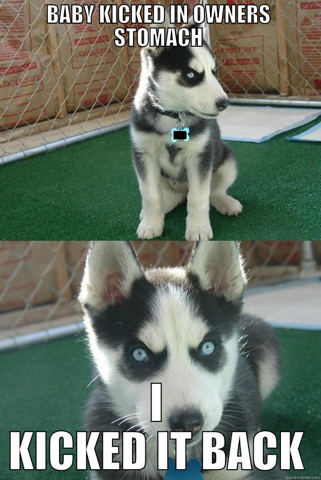 BABY KICKED IN OWNERS STOMACH I KICKED IT BACK Insanity puppy