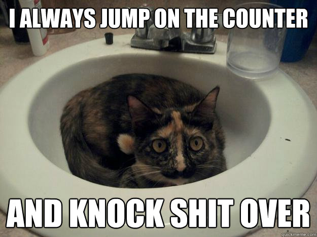 I always jump on the counter and knock shit over - I always jump on the counter and knock shit over  Nilly