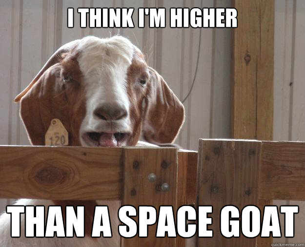 I think I'm higher than a space goat  