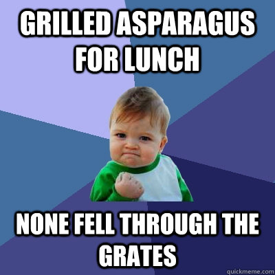 Grilled asparagus for lunch none fell through the grates  Success Kid