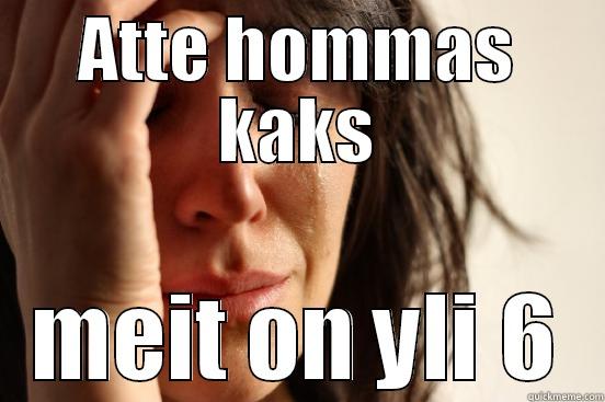 ATTE HOMMAS KAKS MEIT ON YLI 6 First World Problems