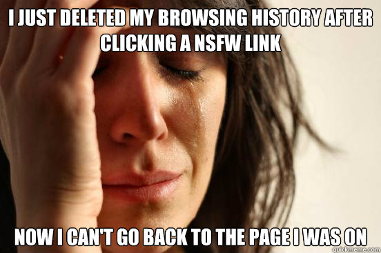 I just deleted my browsing history after clicking a NSFW link now i can't go back to the page i was on  First World Problems