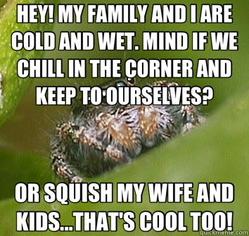 HEY! MY FAMILY AND I ARE COLD AND WET. MIND IF WE CHILL IN THE CORNER AND KEEP TO OURSELVES? OR SQUISH MY WIFE AND KIDS...THAT'S COOL TOO! - HEY! MY FAMILY AND I ARE COLD AND WET. MIND IF WE CHILL IN THE CORNER AND KEEP TO OURSELVES? OR SQUISH MY WIFE AND KIDS...THAT'S COOL TOO!  Misunderstood Spider