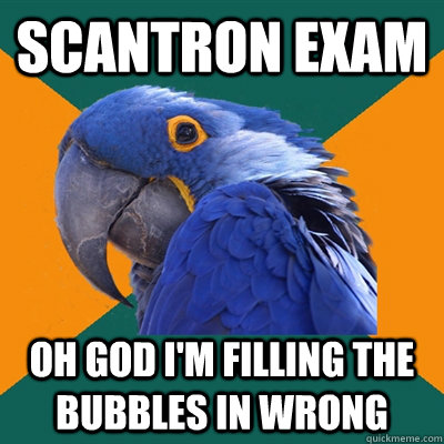 Scantron exam Oh god I'm filling the bubbles in wrong  Paranoid Parrot