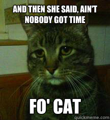 And then she said, ain't nobody got time fo' cat  