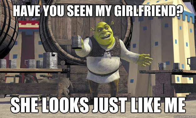 Have you seen my girlfriend? she looks just like me - Have you seen my girlfriend? she looks just like me  Shrek