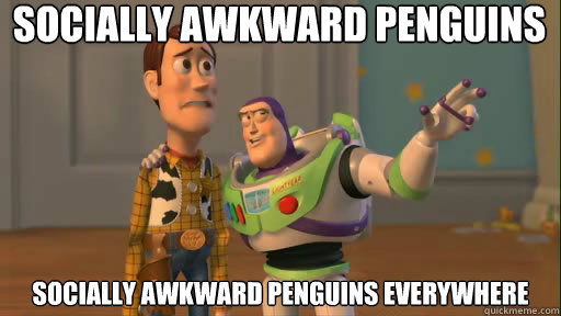 socially awkward penguins socially awkward penguins everywhere  Everywhere