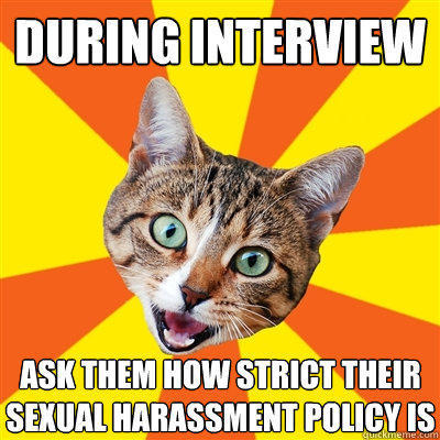 During interview ask them how strict their sexual harassment policy is - During interview ask them how strict their sexual harassment policy is  Bad Advice Cat