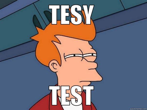 Talk about testing - TESY TEST Futurama Fry