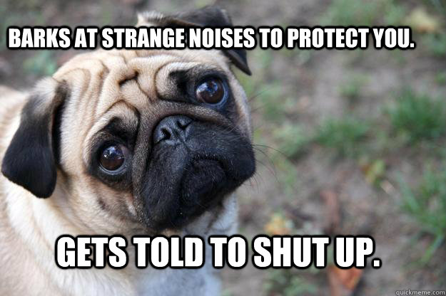 Barks at strange noises to protect you. Gets told to shut up.  First World Dog problems