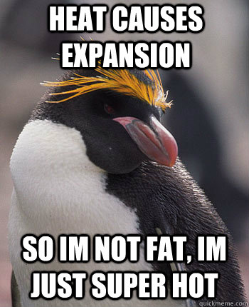 heat causes expansion so im not fat, im just super hot - heat causes expansion so im not fat, im just super hot  Socially Overconfident Penguin