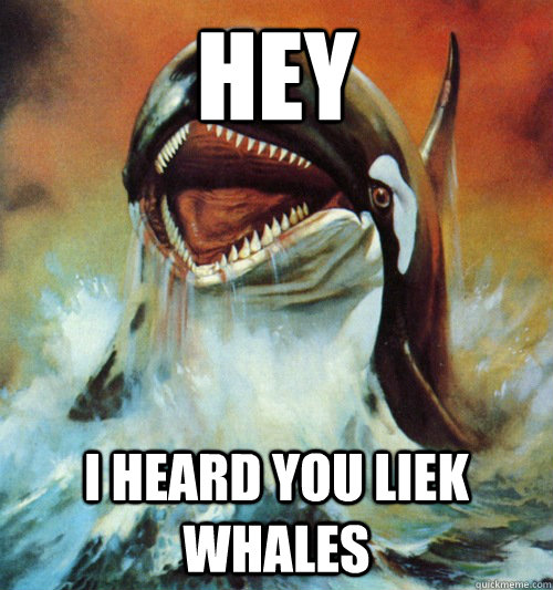 Hey I heard you liek whales  