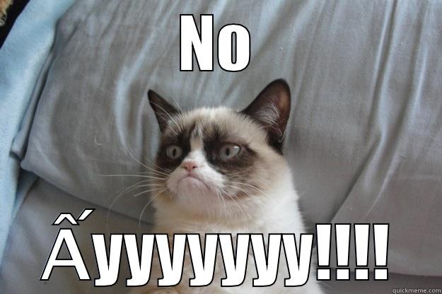 NO ẤYYYYYYY!!!! Grumpy Cat