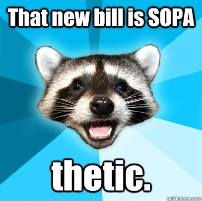 That new bill is SOPA thetic.  Lame Pun Coon