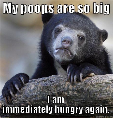  MY POOPS ARE SO BIG  I AM IMMEDIATELY HUNGRY AGAIN. Confession Bear