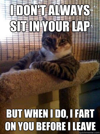 I don't always sit in your lap but when I do, I fart on you before I leave  The Most Interesting Cat in the World